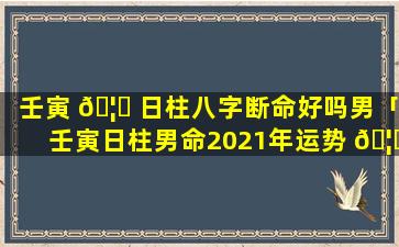 壬寅 🦊 日柱八字断命好吗男「壬寅日柱男命2021年运势 🦁 」